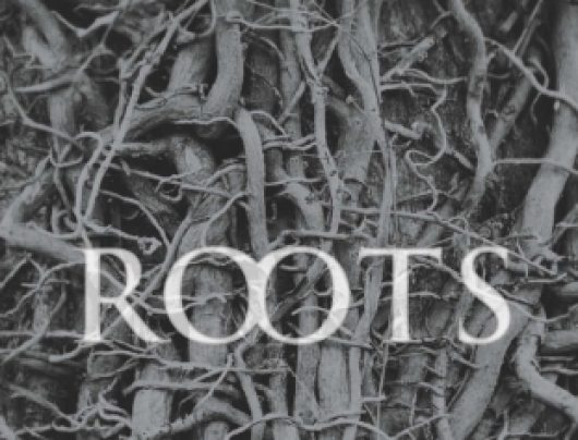 PREMIERE ROOTS