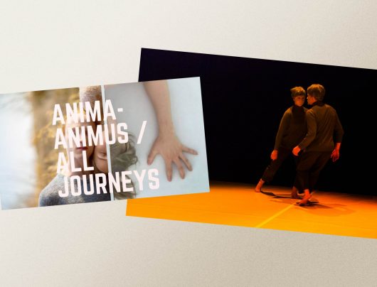 Dni tanca pre vás / Návrat z ticha / Marta Poláková: ENDLESS SHIFT & Teatr Tańca Zawirowania: ANIMA-ANIMUS (v BDNR)